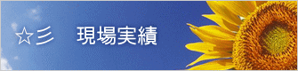 ☆彡　現場実績